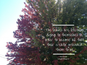 On Knowing What The Leaves Know | girlwithblog.com